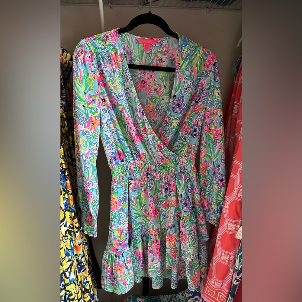 Lilly Pulitzer Cristiana Stretch Dress NWOT size 4